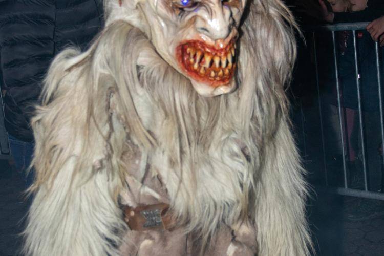 Seitenstettner Ursprungsteufeln | Lauf Heimstetten (D) | 29.12.2022