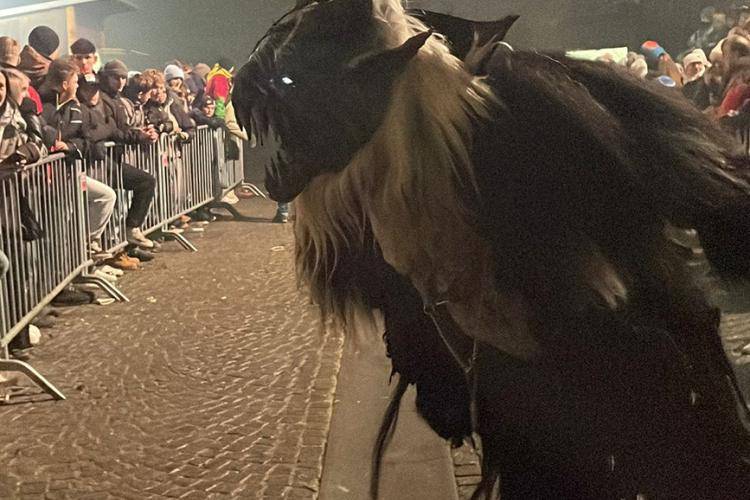 Seitenstettner Ursprungsteufeln | Lauf Bad Vigaun (SBG) | 03.12.2024