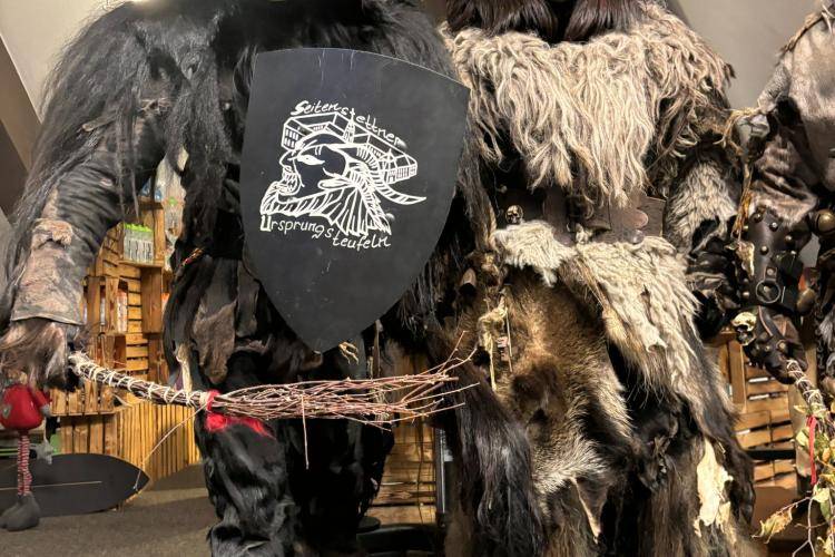 Seitenstettner Ursprungsteufeln | Hausbesuch Injoy Steyr (OÖ) | 04.12.2024