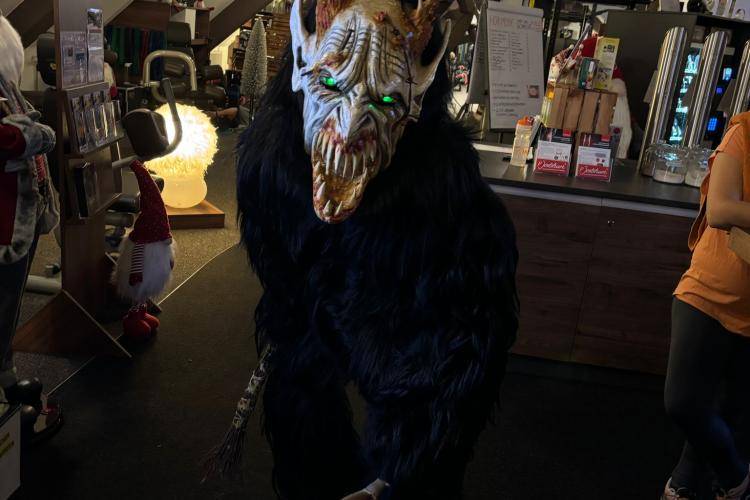 Seitenstettner Ursprungsteufeln | Hausbesuch Injoy Steyr (OÖ) | 04.12.2024