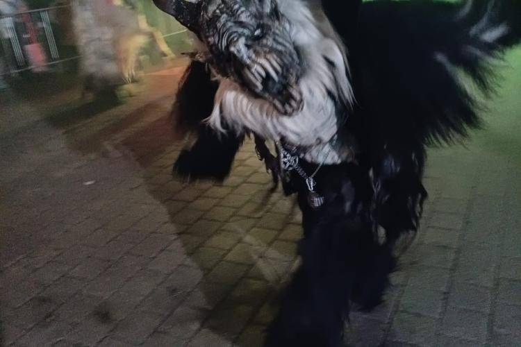 Seitenstettner Ursprungsteufeln | Lauf Neuzeug (OÖ) | 08.12.2024