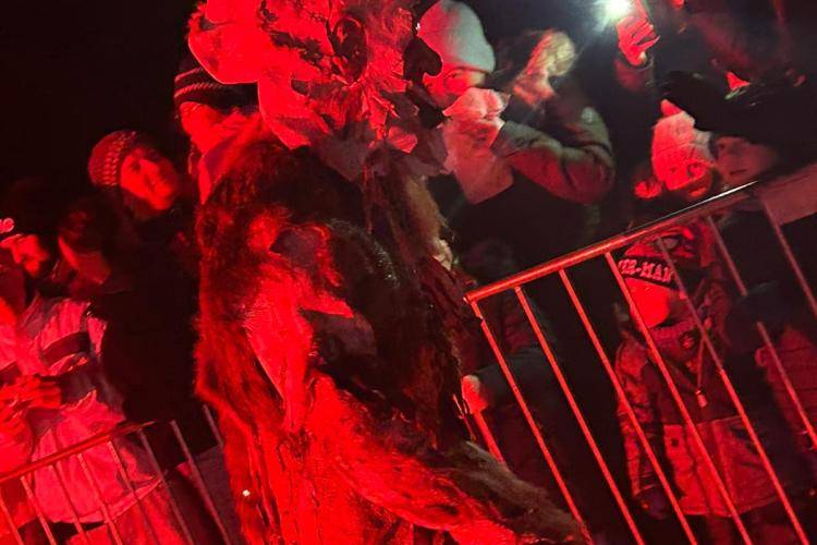 Seitenstettner Ursprungsteufeln | Lauf Münichreith am Ostrong (NÖ) | 04.01.2025