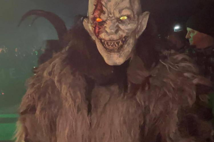 Seitenstettner Ursprungsteufeln | Lauf Schrambach (NÖ) | 05.01.2025