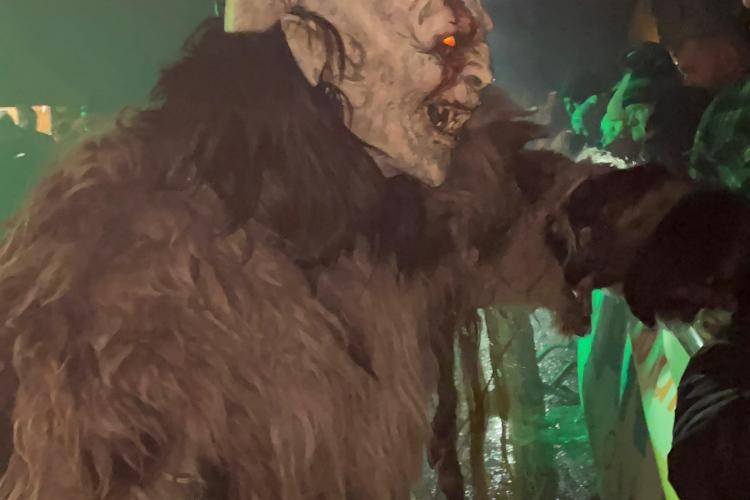 Seitenstettner Ursprungsteufeln | Lauf Schrambach (NÖ) | 05.01.2025