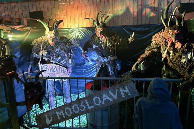 Seitenstettner Ursprungsteufeln | Maskenaustellung Hartberg (Stmk) | 19.09.2025 - 21.09.2025