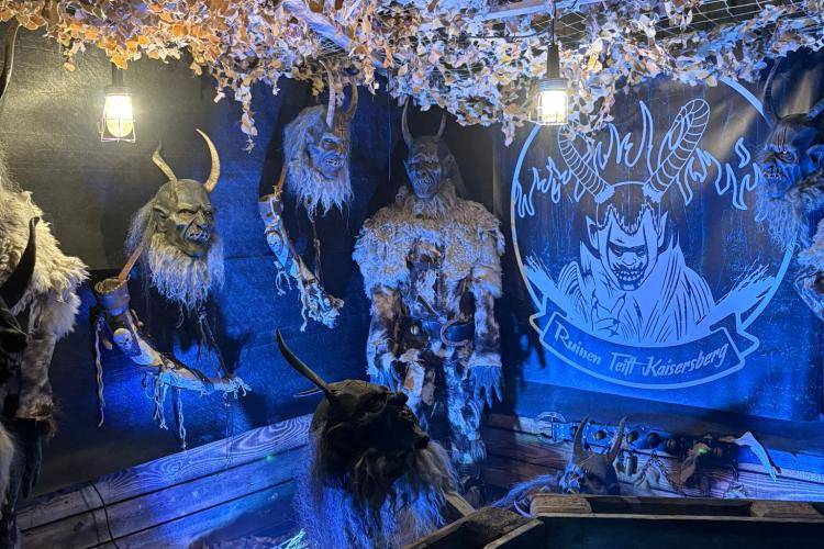 Seitenstettner Ursprungsteufeln | Maskenaustellung Hartberg (Stmk) | 19.09.2025 - 21.09.2025