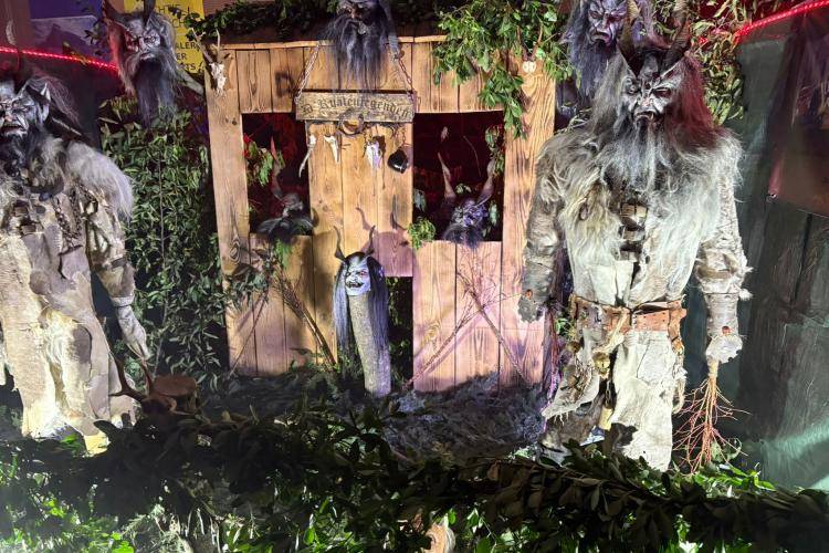 Seitenstettner Ursprungsteufeln | Maskenaustellung Hartberg (Stmk) | 19.09.2025 - 21.09.2025