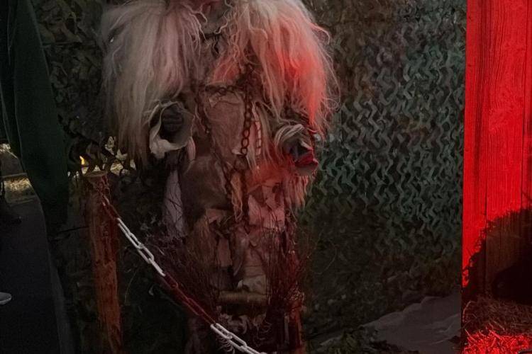 Seitenstettner Ursprungsteufeln | Maskenaustellung Hartberg (Stmk) | 19.09.2025 - 21.09.2025