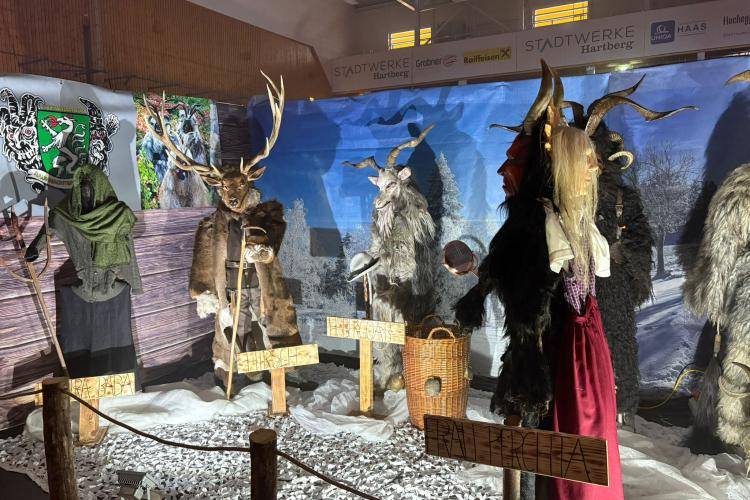 Seitenstettner Ursprungsteufeln | Maskenaustellung Hartberg (Stmk) | 19.09.2025 - 21.09.2025