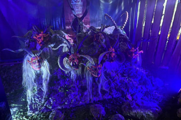 Seitenstettner Ursprungsteufeln | Maskenaustellung Hartberg (Stmk) | 19.09.2025 - 21.09.2025